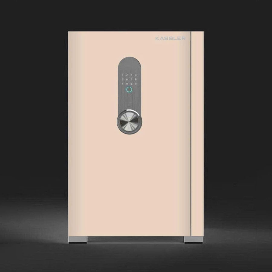 Két thông minh Kassler KL-65H8 Màu Gold